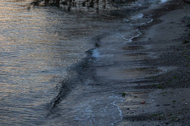 Bainbridge adasındaki kıyı şeridi batan güneşten ışıldıyor