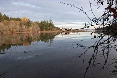 Bainbridge adasındaki kıyı şeridi batan güneşten ışıldıyor