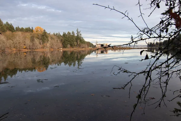 Strandlinje på Bainbridge ön med glöd från solnedgången — Stockfoto