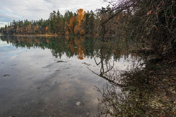 Pobřeží na ostrově Bainbridge se září zapadajícího slunce — Stock fotografie