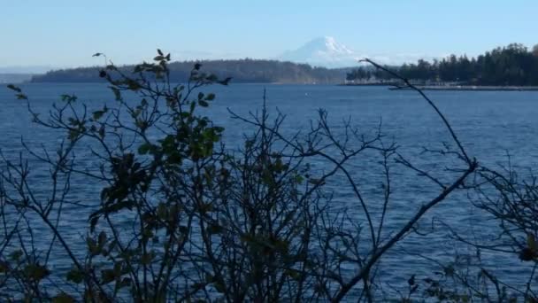 Zonnige dag op de puget geluid met Mount Rainier op de achtergrond — Stockvideo