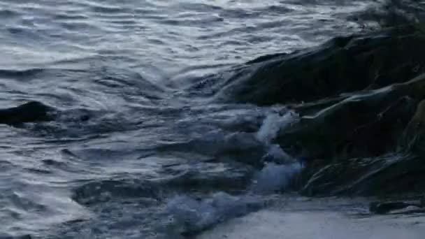 Petites vagues éclaboussant les rochers le soir — Video