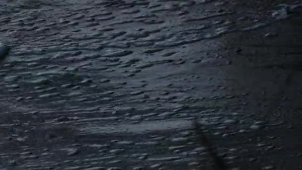 Невеликі хвилі, що летять над берегом в сутінках — стокове відео