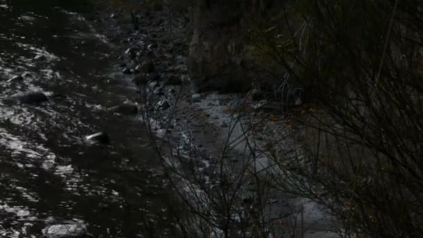 Die sich bewegende Flut entlang einer felsigen Steilküste — Stockvideo