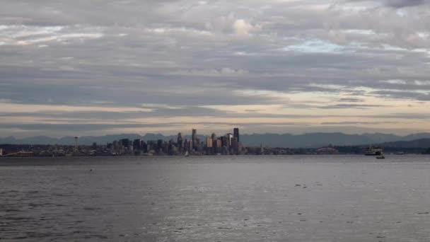 Skyline di Seattle con barche e uccelli e nuvole nel cielo — Video Stock