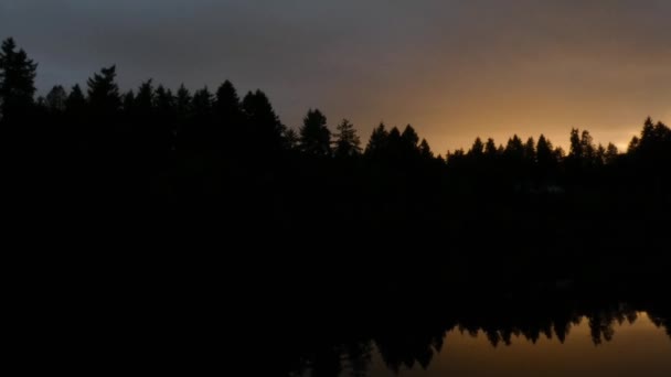 Pássaros sobre uma floresta com água laranja do por do sol e céu — Vídeo de Stock