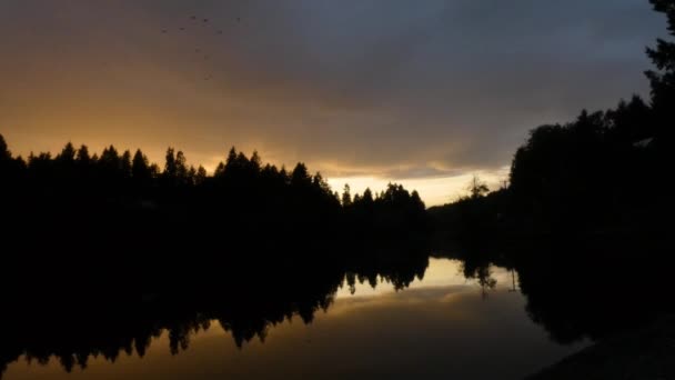 Vogels in silhouet tegen oranje en paarse lucht — Stockvideo