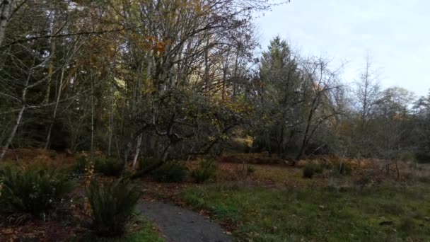 un sentier qui s'éloigne de la clairière pour entrer dans la forêt 