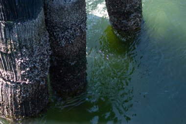 Baharda marina kıyısındaki eski rıhtımda.