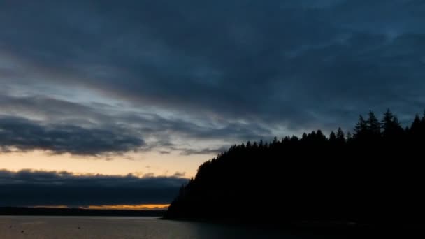 Silhouetted edge to the puget sound — 비디오