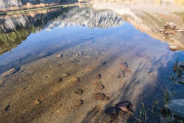 Göl yatağı yansımaları ve gölgelerle dolu bir su yatağı.