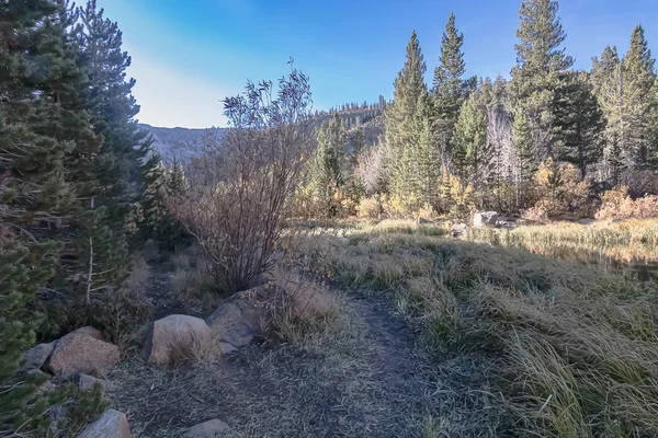 Sendero de senderismo a través de la alta costa de hierba del arroyo obispo — Foto de Stock