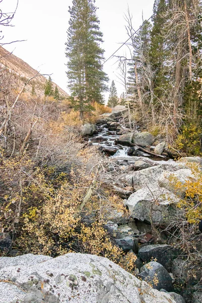 Sendero de senderismo al arroyo con rocas y arbustos de otoño —  Fotos de Stock