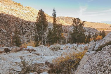 Hiking trail through autumn bushes with boulders