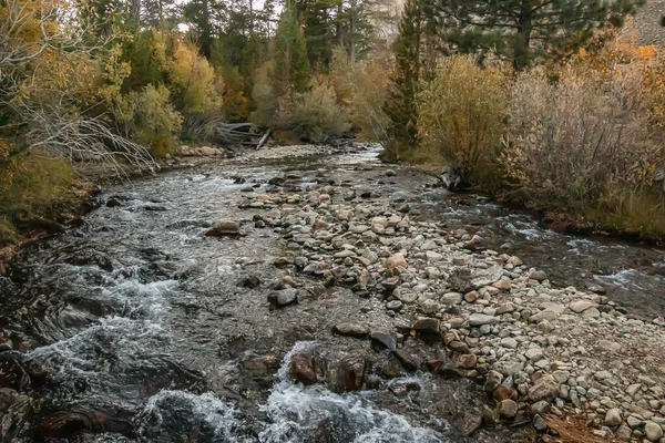 Golden, green, and orange, leafed aspen along flowing creek — ストック写真