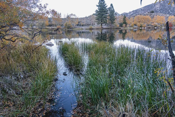 長い草や茂みで縁取られた海岸線秋の湖の反射 — ストック写真