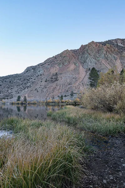 Ribera bordeada de hierba larga y arbustos reflexión lago otoño — Foto de Stock