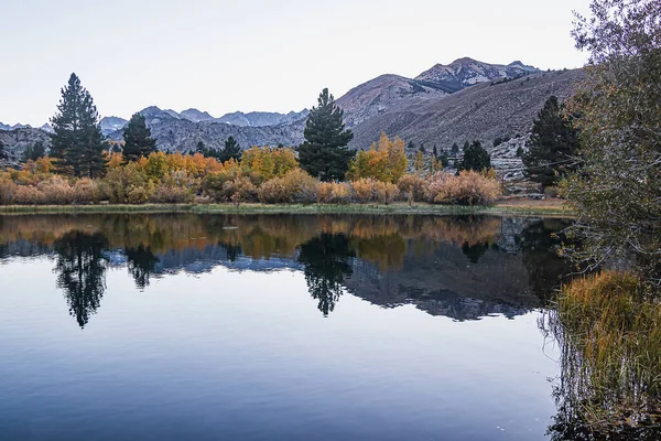 Lac de montagne réfléchissant avec pins trembles herbe et montagne — Photo