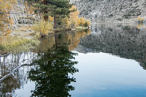 Lac de montagne réfléchissant avec pins trembles herbe et montagne — Photo