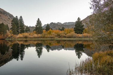 Çam ağaçları, çimenler ve dağlarla yansıtıcı dağ gölü