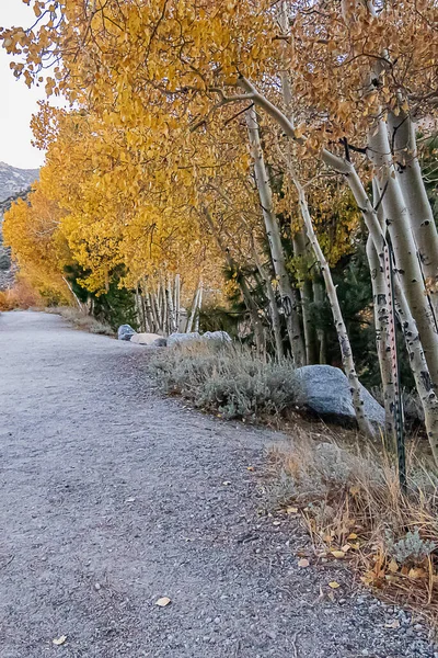 Camino con hojas de otoño y asciende a través de las montañas — Foto de Stock