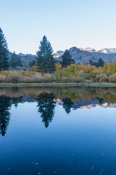 Reflexivní horské jezero s borovicemi osikuje trávu a hory — Stock fotografie