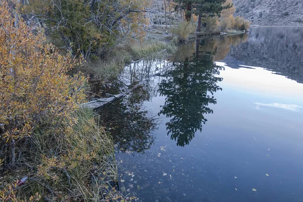 山の湖に松のアスペンの草と山があり — ストック写真