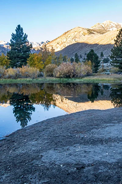 Reflexivní horské jezero s borovicemi osikuje trávu a hory — Stock fotografie