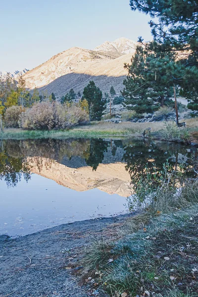 Reflexivní horské jezero s borovicemi osikuje trávu a hory — Stock fotografie