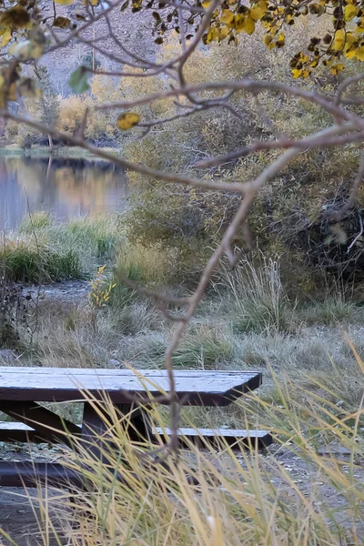 Una mesa de picnic y barbacoa en un camping cerca del lago —  Fotos de Stock