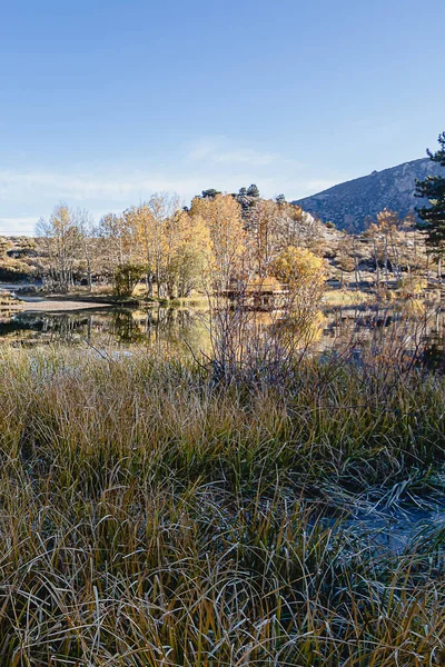 Dlouhá tráva na břehu křišťálově čistého jezera odrážející podzimní stromy — Stock fotografie