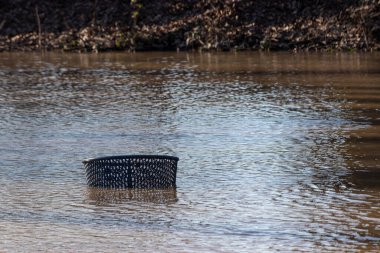 Sel basmış parktaki çöp tenekesinin kenarı