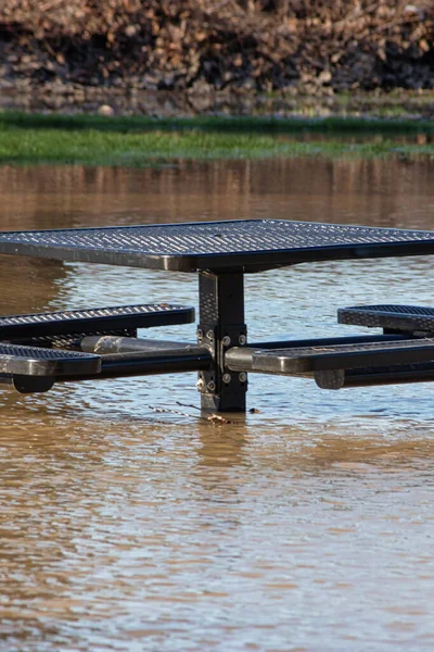 Un banc de parc au milieu d'une zone inondée — Photo