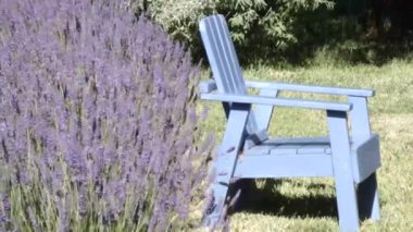 Açık mavi boyalı tahta sandalye Güneşte