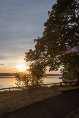 Gün batımına yakın ağaçların arasından akan güneş ışığı.