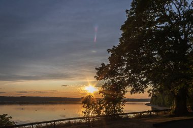 Gün batımına yakın ağaçların arasından akan güneş ışığı.