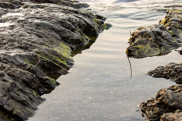 Bahnitý břeh klidné reflexní jezerní vody — Stock fotografie