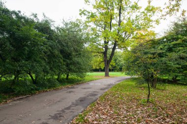 Botanik Bahçe, Sonbahar Park