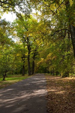 Botanik Bahçe, Sonbahar Park