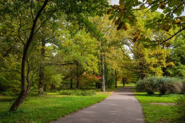 Botanik Bahçe, Sonbahar Park
