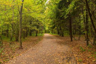 Botanik Bahçe, Sonbahar Park