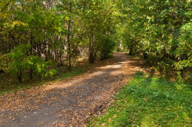 Botanik Bahçe, Sonbahar Park