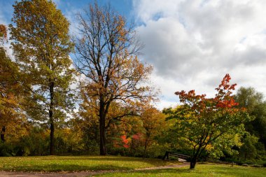 Botanik Bahçe, Sonbahar Park