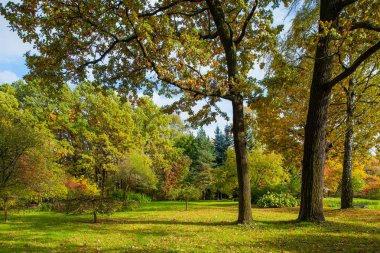 Botanik Bahçe, Sonbahar Park