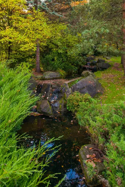 Ботанический сад, осенний парк — стоковое фото