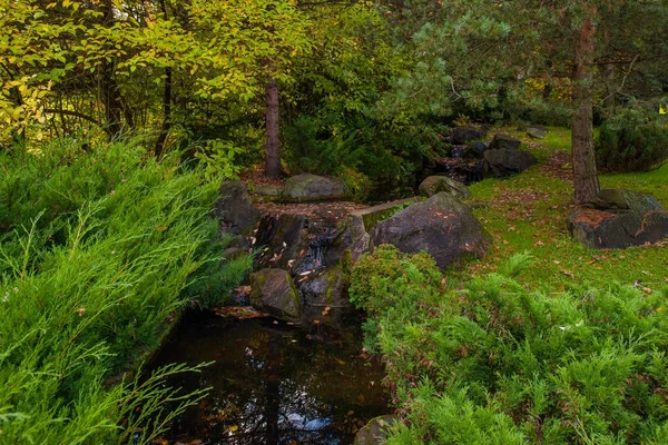 Jardim botânico, Outono Parque — Fotografia de Stock