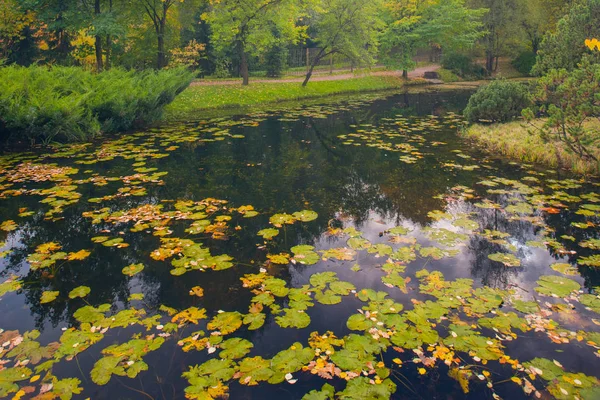 Jardin botanique, Parc d'automne — Photo