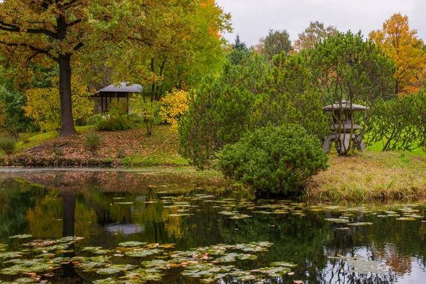 Botanischer Garten, Herbstpark — Stockfoto
