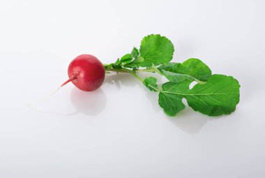 Beyaz arka planda taze yeşil yapraklı taze turp.