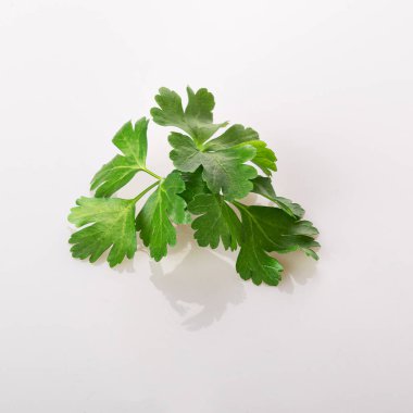 Beyaz arka planda izole edilmiş taze bir maydanoz yaprağı.